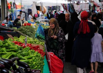 “التعبئة والإحصاء”: ارتفاع التضخم في المدن إلى 12.5% بنهاية أكتوبر 
