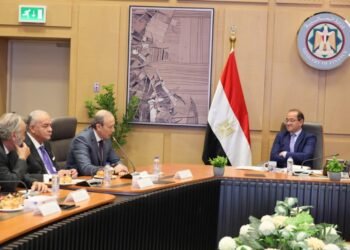 وزير المالية: حوافز ضريبية وتسهيلات تمويلية غير مسبوقة لأول 100 ألف ينضمون للنظام الضريبي المبسط