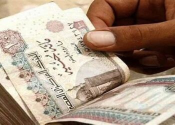 العائد والضريبة وطريقة الشراء.. معلومات كاملة عن سند المواطن