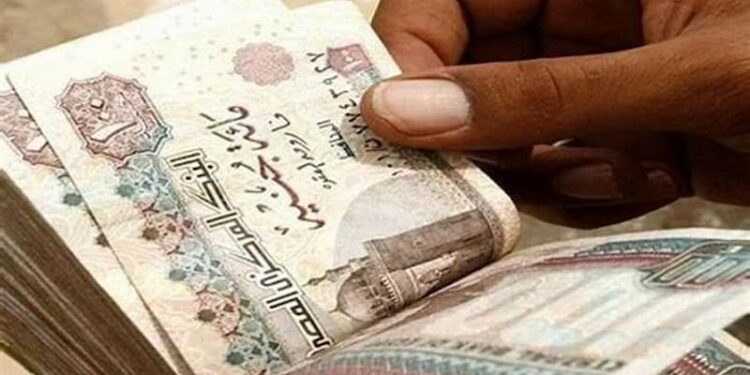 العائد والضريبة وطريقة الشراء.. معلومات كاملة عن سند المواطن
